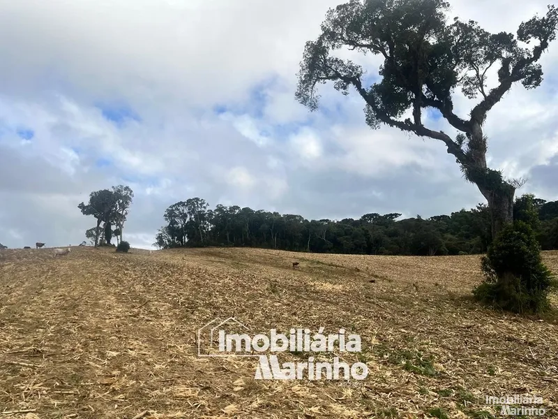 null: 7ª foto da galeria de imagens do imóvel