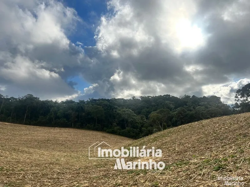 null: 3ª foto da galeria de imagens do imóvel