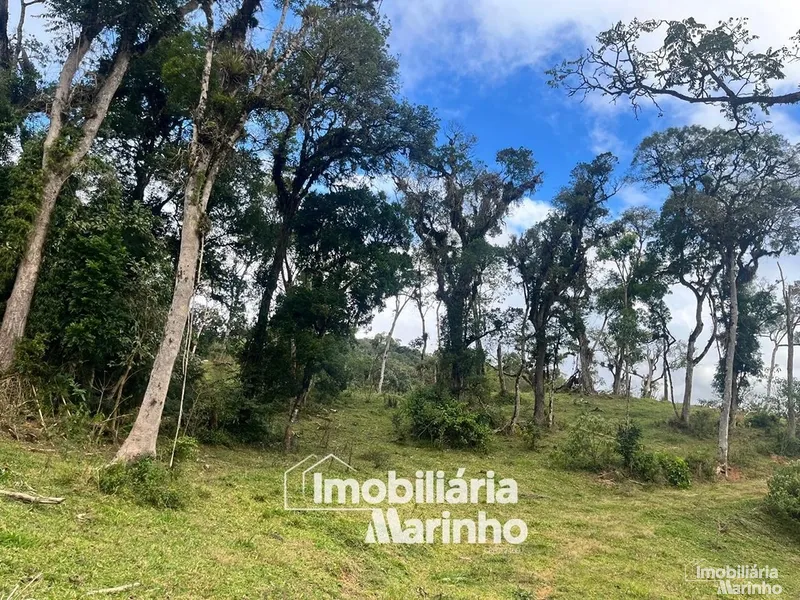 null: 5ª foto da galeria de imagens do imóvel