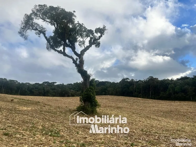 null: 6ª foto da galeria de imagens do imóvel