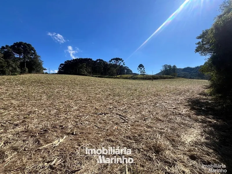 null: 7ª foto da galeria de imagens do imóvel