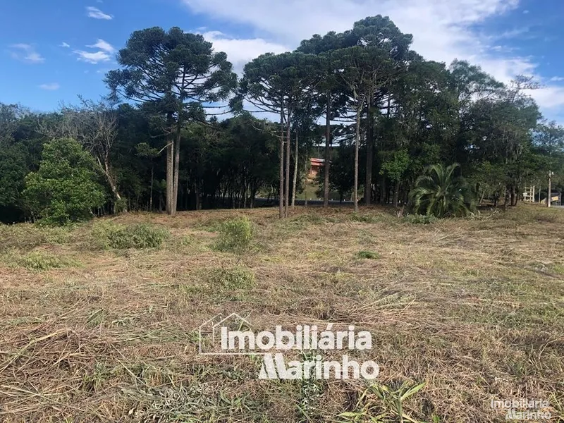 null: 19ª foto da galeria de imagens do imóvel