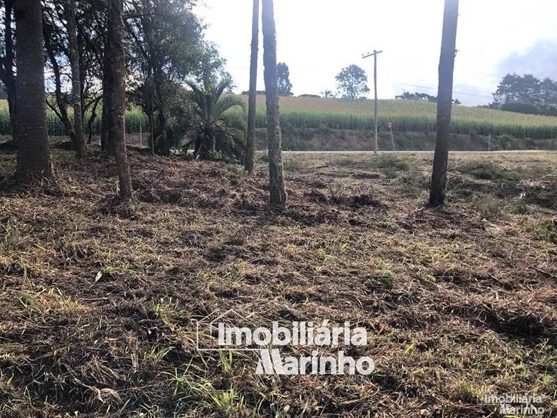 null: 5ª foto da galeria de imagens do imóvel