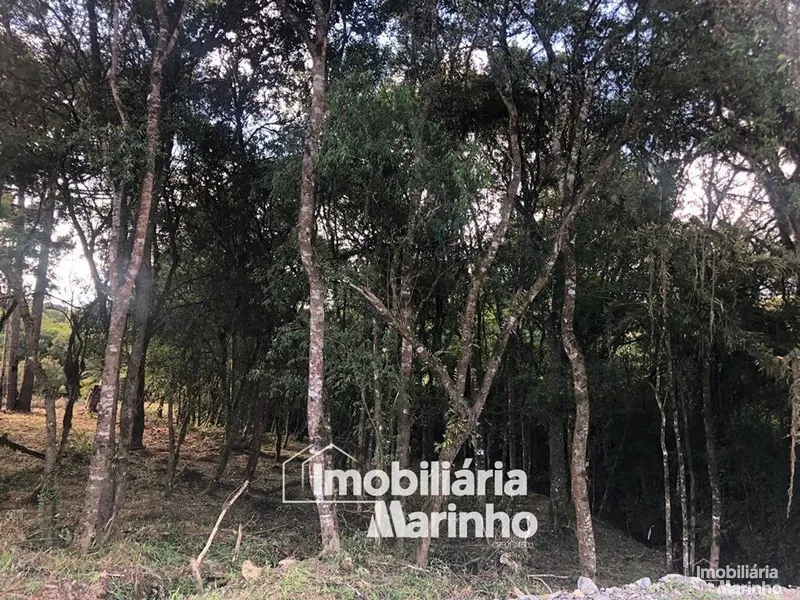 null: 7ª foto da galeria de imagens do imóvel