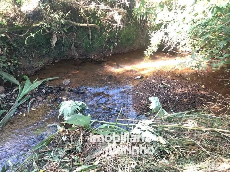 null: 12ª foto da galeria de imagens do imóvel