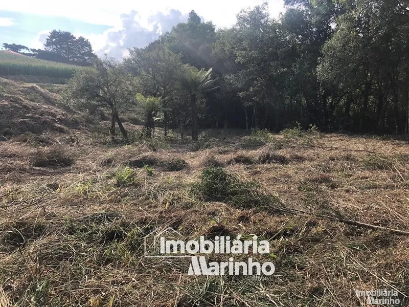 null: 11ª foto da galeria de imagens do imóvel