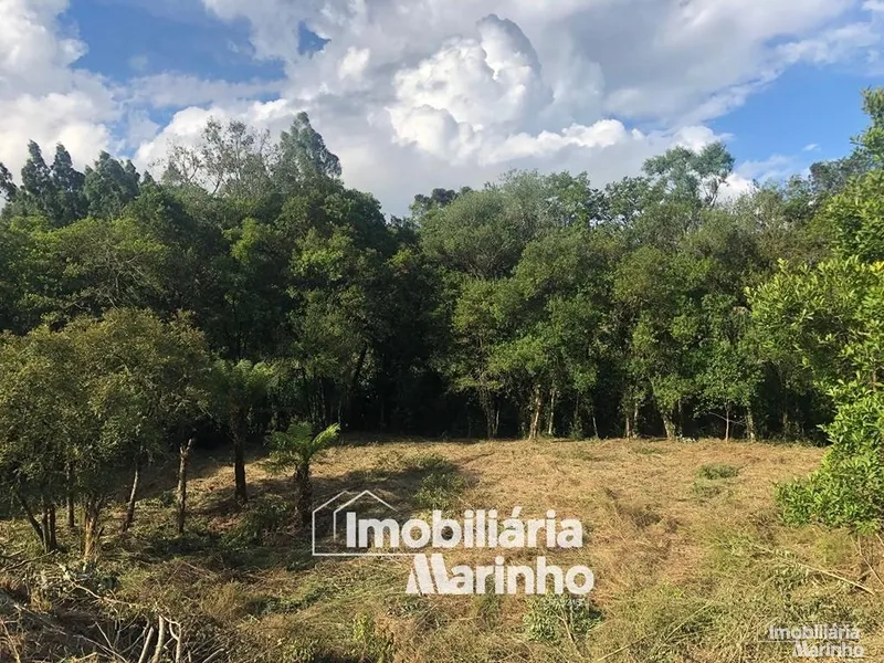 null: 16ª foto da galeria de imagens do imóvel