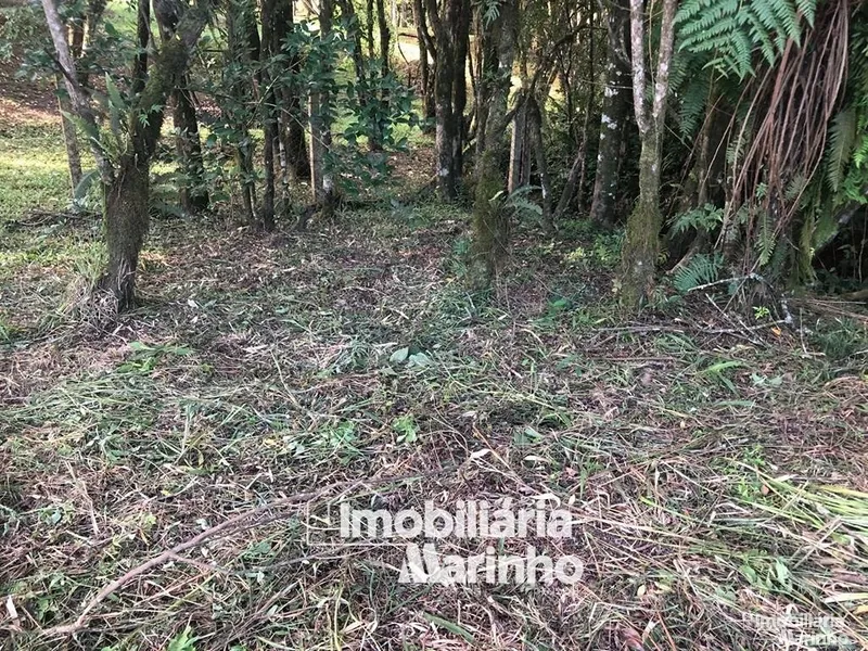 null: 10ª foto da galeria de imagens do imóvel