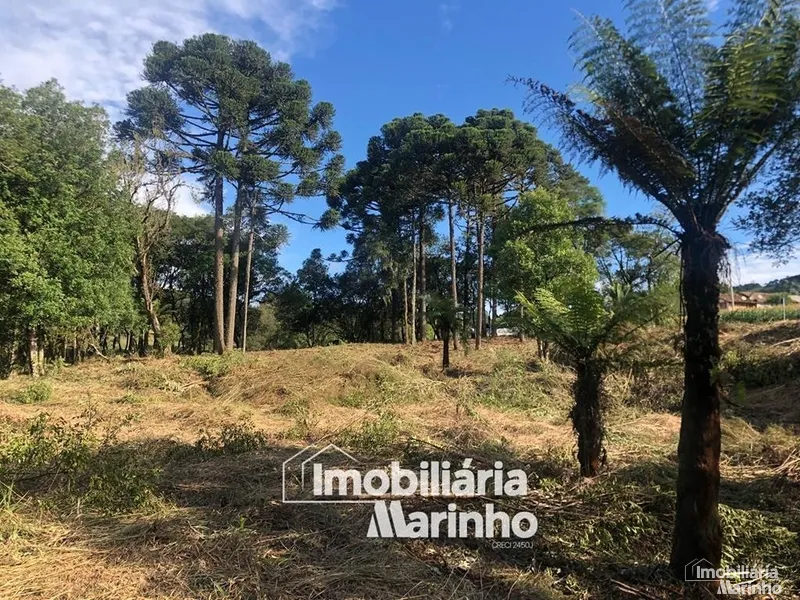 null: 1ª foto da galeria de imagens do imóvel