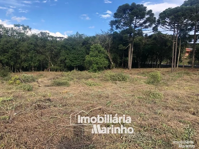 null: 9ª foto da galeria de imagens do imóvel