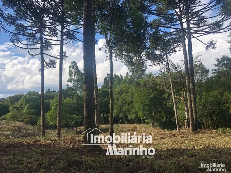 null: 4ª foto da galeria de imagens do imóvel