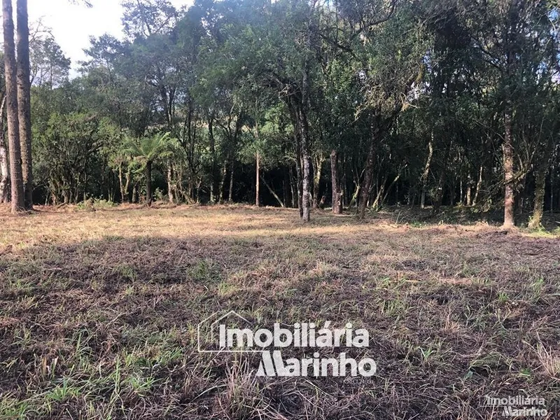 null: 18ª foto da galeria de imagens do imóvel