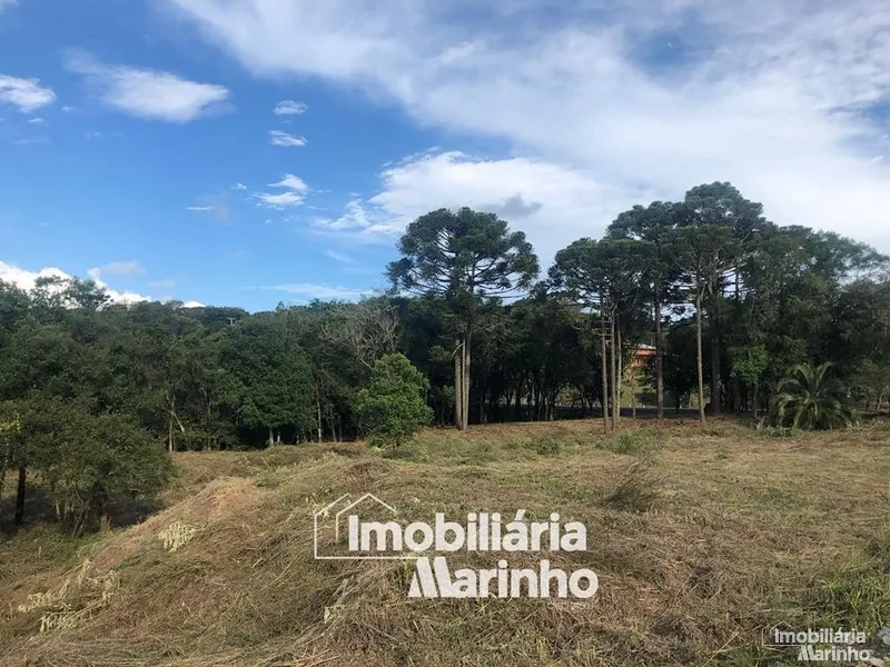 null: 2ª foto da galeria de imagens do imóvel