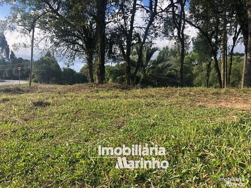 null: 15ª foto da galeria de imagens do imóvel