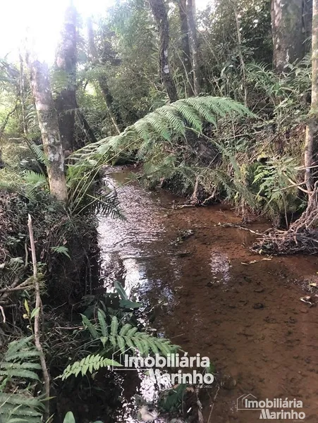 null: 14ª foto da galeria de imagens do imóvel