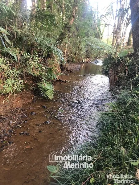 null: 17ª foto da galeria de imagens do imóvel