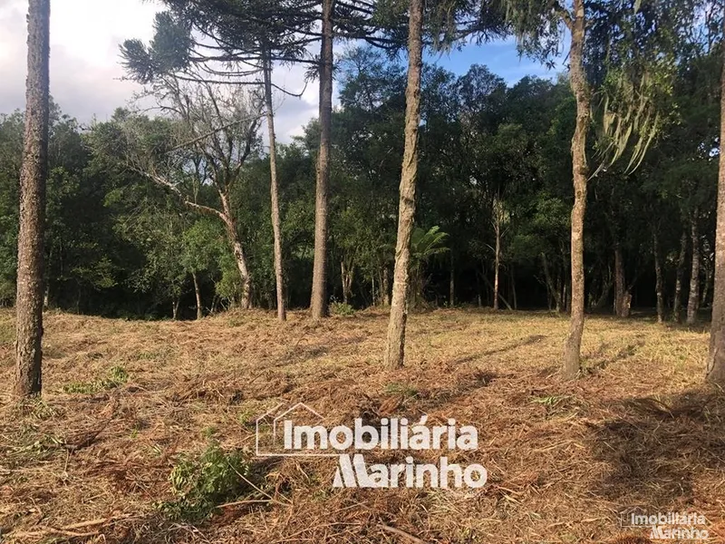 null: 8ª foto da galeria de imagens do imóvel