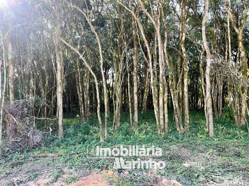 null: 4ª foto da galeria de imagens do imóvel