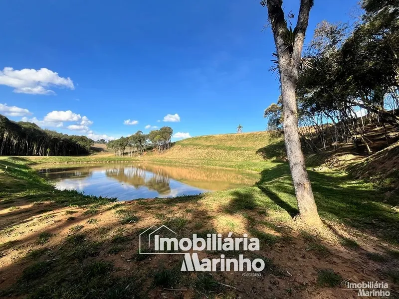 null: 7ª foto da galeria de imagens do imóvel