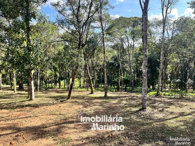 null: 2ª foto da galeria de imagens do imóvel