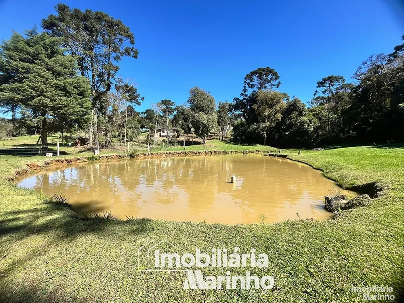 null: 24ª foto da galeria de imagens do imóvel