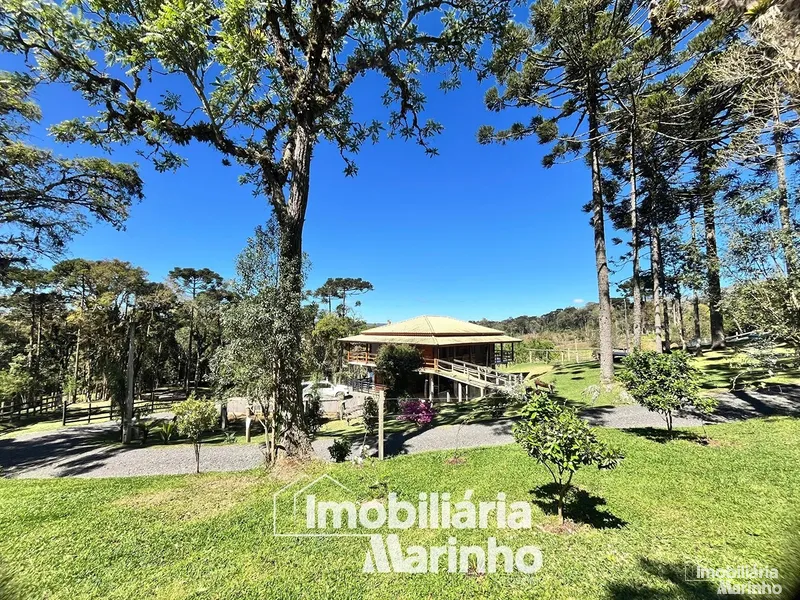 null: 7ª foto da galeria de imagens do imóvel