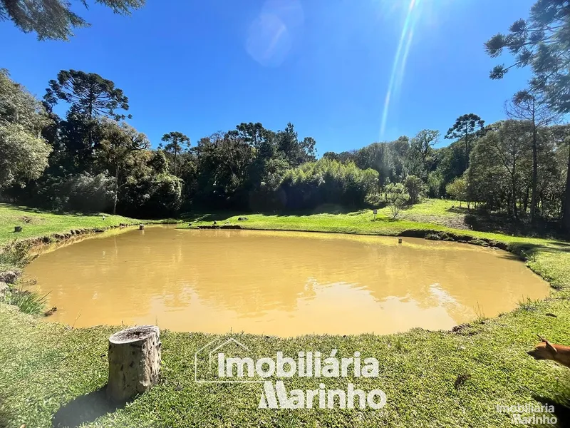 null: 26ª foto da galeria de imagens do imóvel