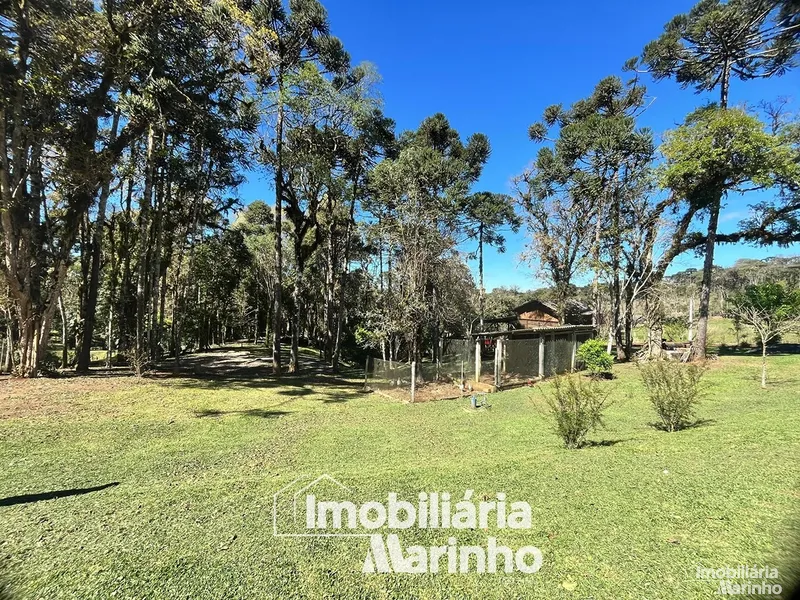 null: 20ª foto da galeria de imagens do imóvel