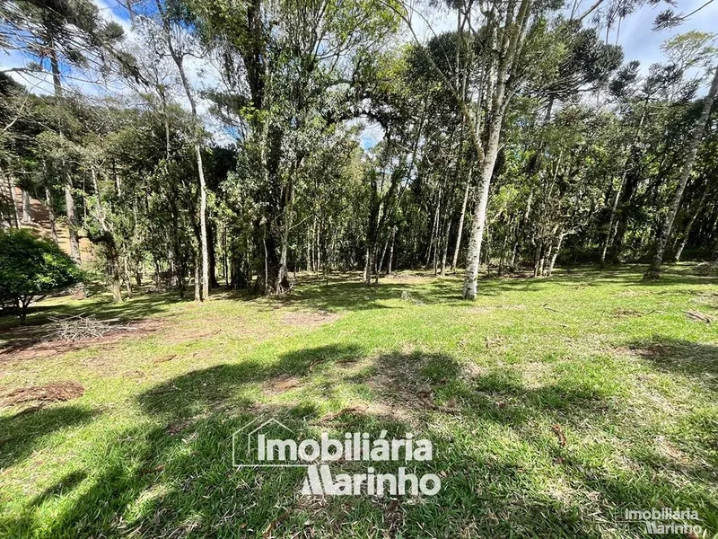 null: 6ª foto da galeria de imagens do imóvel