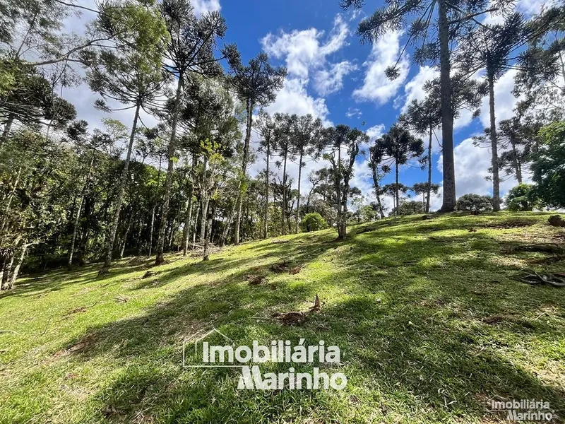 null: 7ª foto da galeria de imagens do imóvel