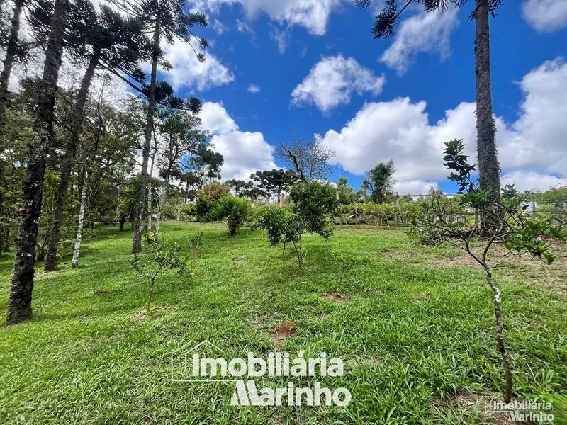 null: 15ª foto da galeria de imagens do imóvel