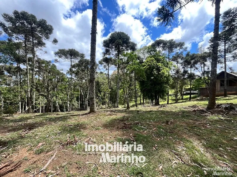 null: 5ª foto da galeria de imagens do imóvel