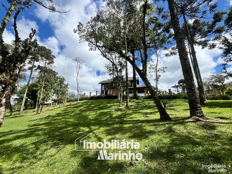 null: 21ª foto da galeria de imagens do imóvel