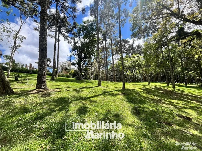 null: 24ª foto da galeria de imagens do imóvel