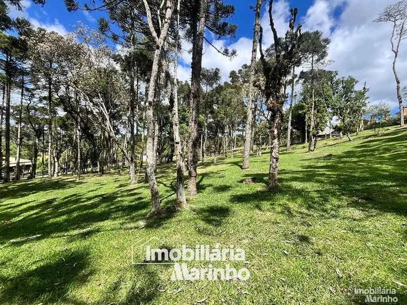 null: 22ª foto da galeria de imagens do imóvel
