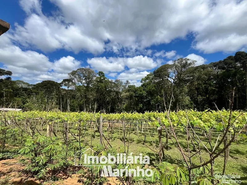 null: 14ª foto da galeria de imagens do imóvel