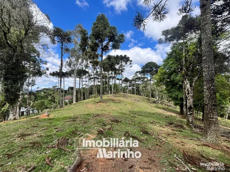 null: 4ª foto da galeria de imagens do imóvel