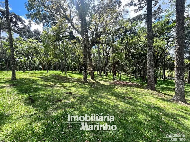 null: 23ª foto da galeria de imagens do imóvel