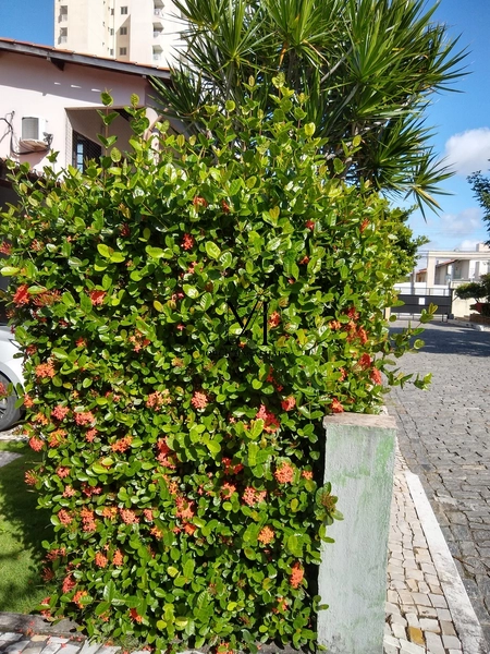 CASA Á VENDA: 98ª foto da galeria de imagens do imóvel