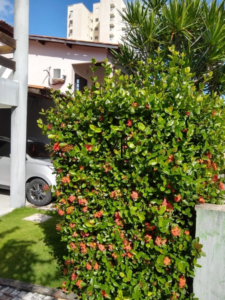 CASA Á VENDA: 97ª foto da galeria de imagens do imóvel