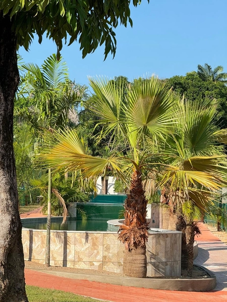 Giverny Condomínio Jardim - Condomino alto padrão no Eusébio: 26ª foto da galeria de imagens do imóvel