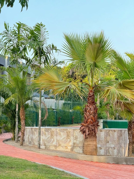 Giverny Condomínio Jardim - Condomino alto padrão no Eusébio: 21ª foto da galeria de imagens do imóvel