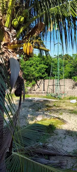 Ótimo terreno para uma nova moradia.: 7ª foto da galeria de imagens do imóvel