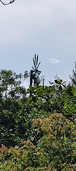 Ótimo terreno para uma nova moradia.: 9ª foto da galeria de imagens do imóvel