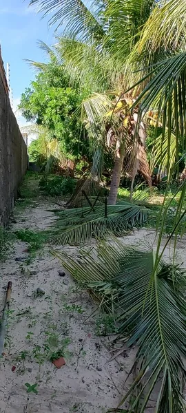 Ótimo terreno para uma nova moradia.: 2ª foto da galeria de imagens do imóvel