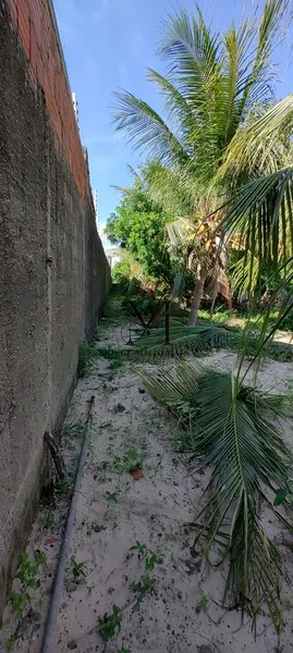 Ótimo terreno para uma nova moradia.: 5ª foto da galeria de imagens do imóvel