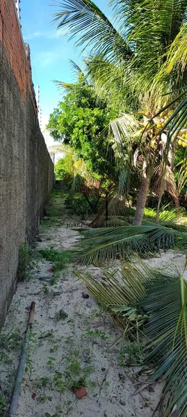 Ótimo terreno para uma nova moradia.: 1ª foto da galeria de imagens do imóvel