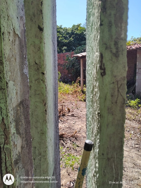 null: 31ª foto da galeria de imagens do imóvel