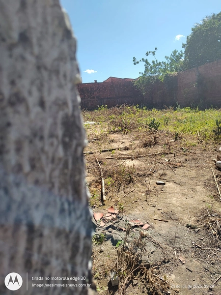 null: 33ª foto da galeria de imagens do imóvel