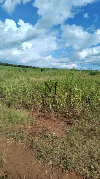 ÓTIMO LOTEAMENTO PARA INSVESTIDOR E CONSTRUTOR.: 2ª foto da galeria de imagens do imóvel